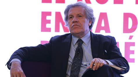 Luis Almagro Sobre La Constituyente En Venezuela Se Confirma El