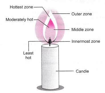 Make a labelled diagram of a candle flame - CBSE Class 8 Science - Learn CBSE Forum