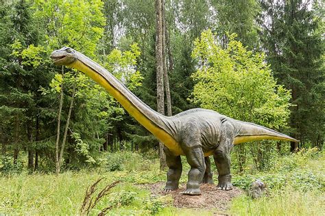 Titanoboa Facts Extinct Animals Of The World Worldatlas