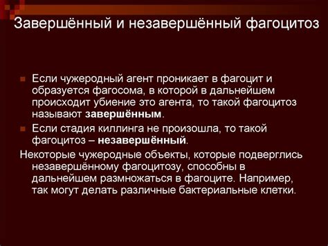 Фагоцитоз. Завершённый и незавершённый фагоцитоз - презентация онлайн