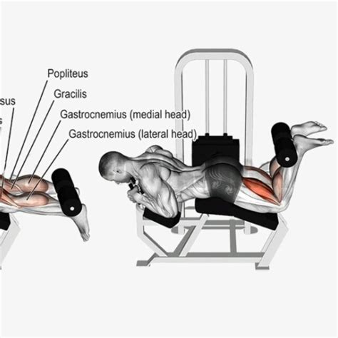 Hamstring Curl by Kc H. - Exercise How-to - Skimble