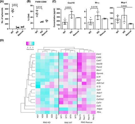 Adar Deficiency Decreases Tumor Growth In Vivo And Leads To Changes In