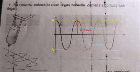 Na Przedstawionym Rysunku Zaznacz Amplitud Drga Brainly Pl