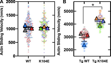 Superplots Of In Vitro Motility Assay From Cardiac And Cardiac