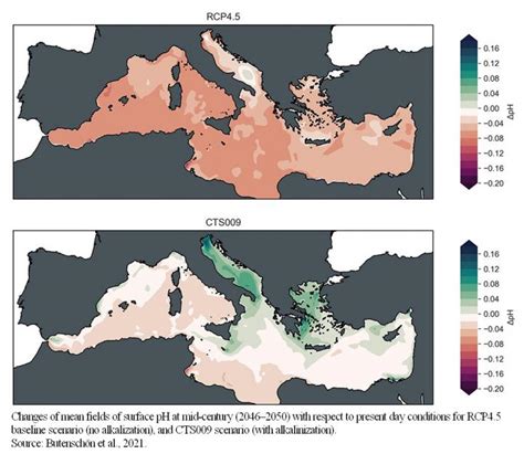 Reducing Ocean Acidification By Removing Co2 Eurekalert