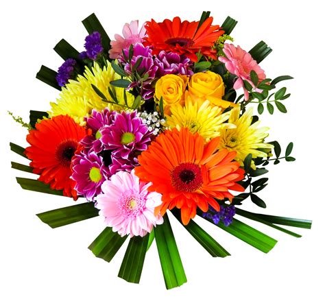 Collection Of Flower Hd Png Pluspng