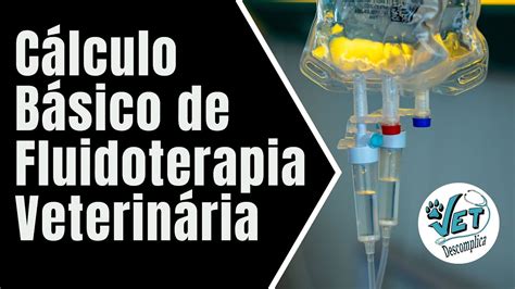 C Lculo B Sico De Fluidoterapia Veterin Ria Youtube