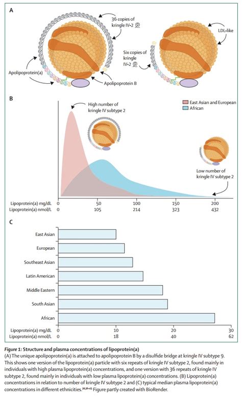 Липопротеин(а) и сердечно-сосудистые заболевания (Lancet, сентябрь 2024 ...