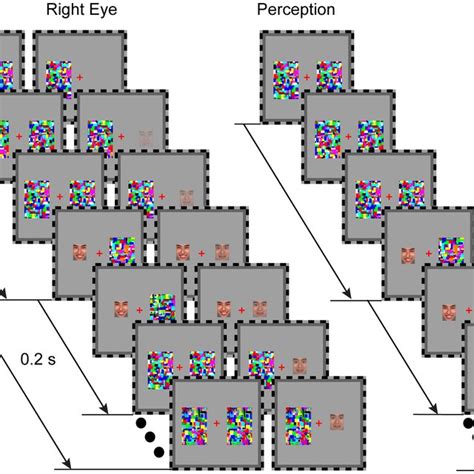 Schematics Depiction Of An Example Trial With Incongruent Facial Download Scientific Diagram