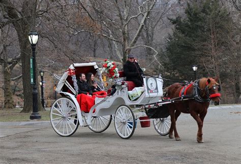 Nyc Horse Carriage Rides New York Ce Quil Faut Savoir