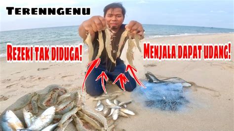 Menjala Dapat Udang Harga Rm Perkg Di Pasar Dapat Terus Goreng