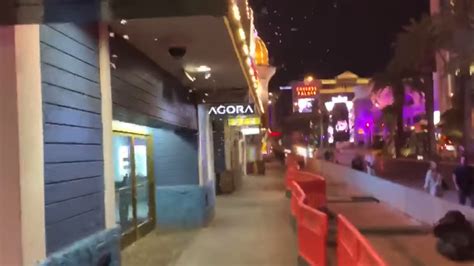 Thousands Of Grasshoppers Swarm Las Vegas Strip