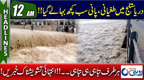 Flood Situation In Punjab 12am News Headlines L 25 Jul 2023 L Rohi