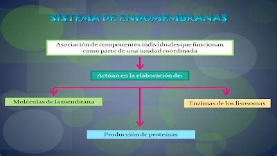 La biología una experiencia que genera conocimiento Sistemas de