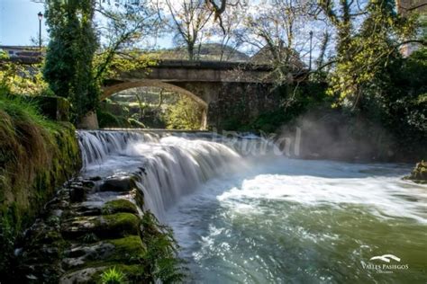 Lo Teresa Casa Rural En Cantabria San Roque De Riomiera