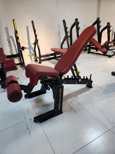 Multi Bench Gym at Rs 8000 | Multipurpose Gym Bench in Meerut | ID ...