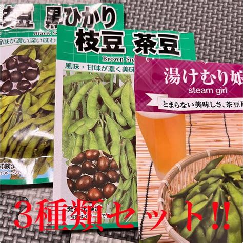 トーホク うまい茶豆 種 枝豆 生産地 北海道 ちゃまめ えだまめ 家庭菜園 プランター栽培 エダマメのタネ たね 種子 夏野菜 即日出荷