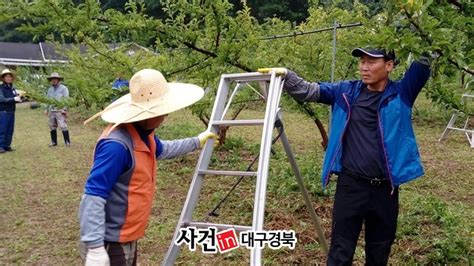 한전 봉화지사 “우박피해 농가 일손돕기”나서다경뉴스