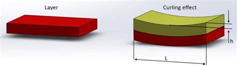 Explanation Of The Curling Effect In 3d Printing Download Scientific