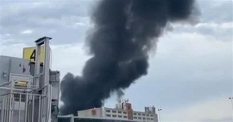 7 Killed In Wwii Era Plane Crash Cbs News