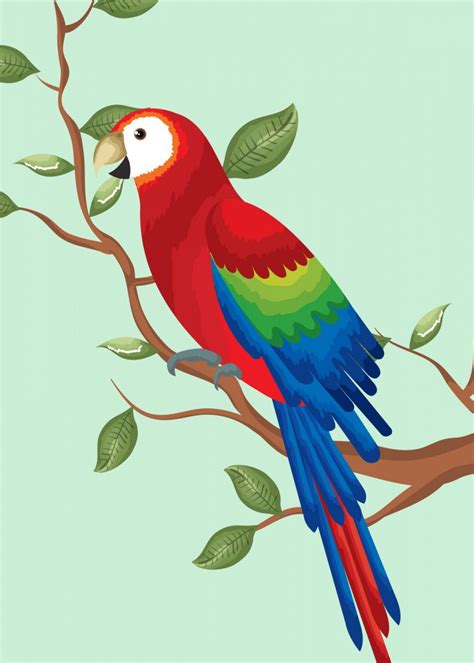 Stylized Parrot Poster By Queensy Collin Displate Parrot Painting