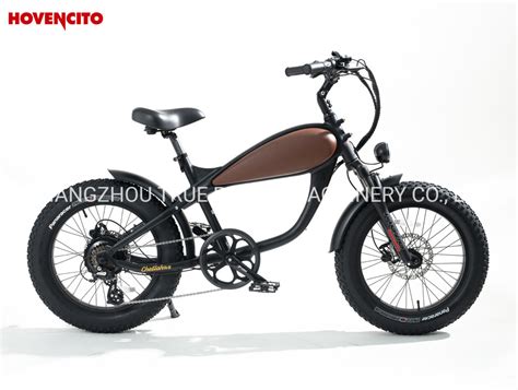 New 20 Powerful Fat Tire Electric Bicycle With CE En15194 China