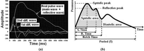 A Typical Real Features Of A Pulse Wave And A First Pulse Wave