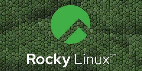 How To Configure A Dhcp Server On Rocky Linux