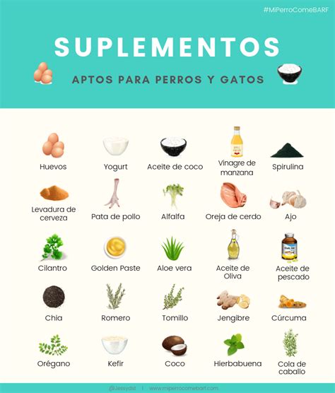 Suplementos Naturales Aptos Para Perros Y Gatos Mi Perro Come Barf