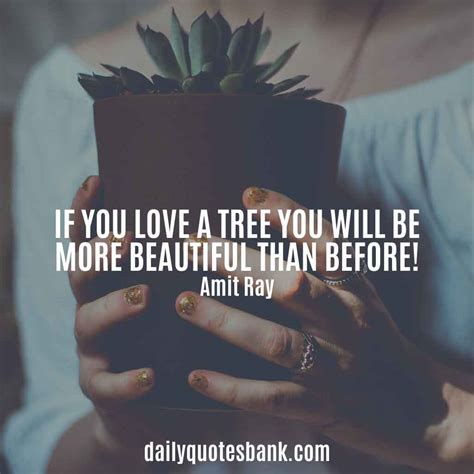 100 Inspirational Quotes About Planting Trees For Future Generations