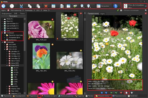 Photo Database - Домашняя страница | Официальный сайт - Организация и ...