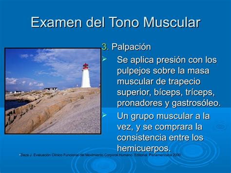 Examen Del Tono Muscular Ppt