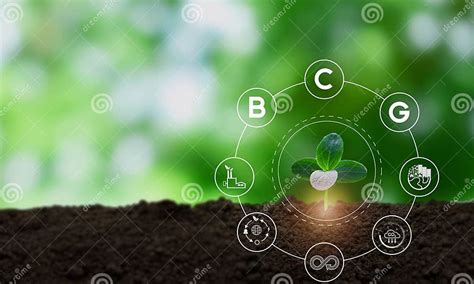 Bio Circular Green Economy Bcg Model Strategy For The Sustainability