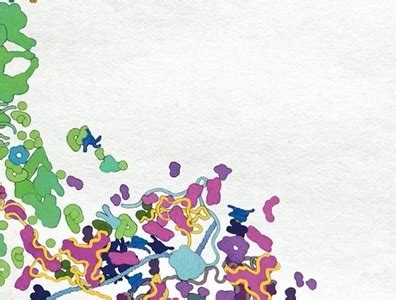 New Enzyme Reduces Stutter in Forensic DNA Analysis