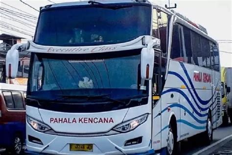 Mudik Lebaran 2023 Info Harga Tiket Bus Pahala Kencana Rute Jakarta