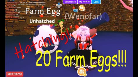 Adopt Me 20 Farm Eggs Hatching Youtube