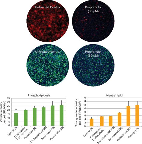 Figure 1 From Multiplexed High Content Hepatotoxicity Assays Using IPSC