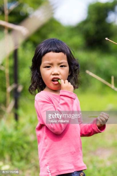 1395 Pink Beans Stock Photos High Res Pictures And Images Getty Images