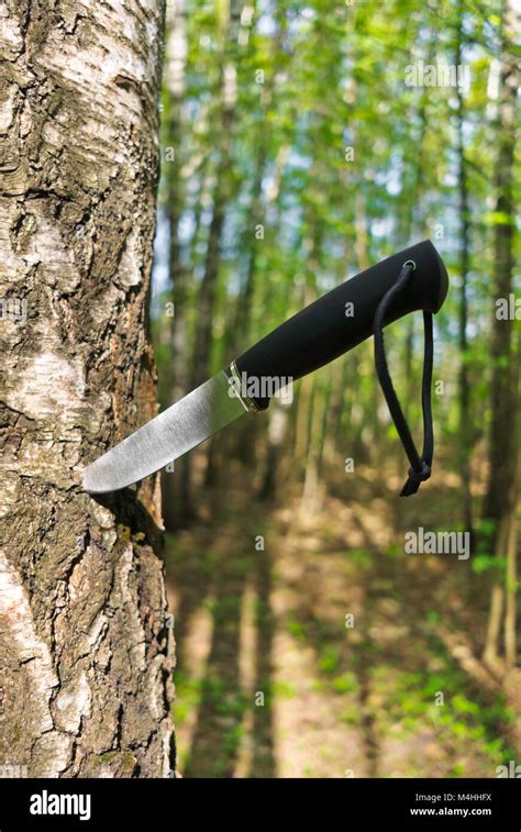 Knife Stuck Into A Tree Stock Photo Alamy