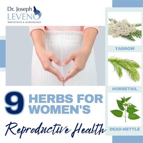 Herbs For Womens Reproductive Health Dr Joseph Leveno