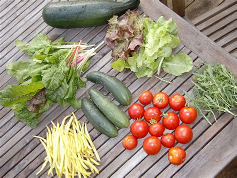 Free Images Dish Food Harvest Produce Vegetable Garden