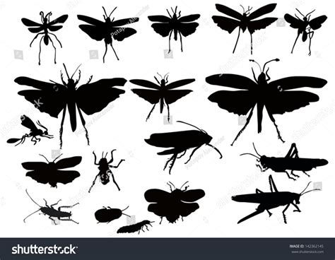 Illustration Insect Silhouettes Isolated On White Stock Vector Royalty