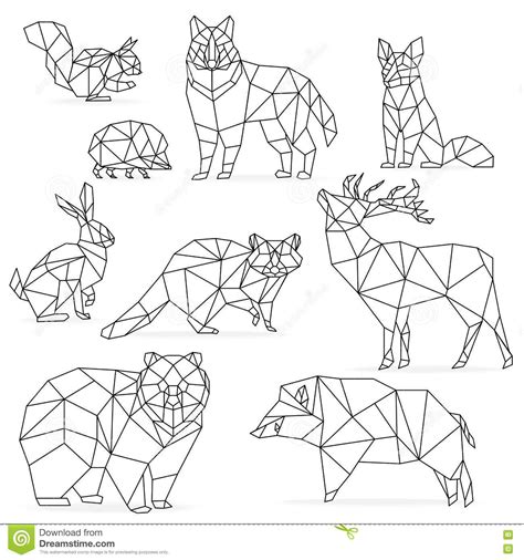 Geometric Shapes In Animals