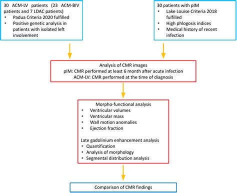 Role Of Cardiac Magnetic Resonance In The Differential Diagnosis