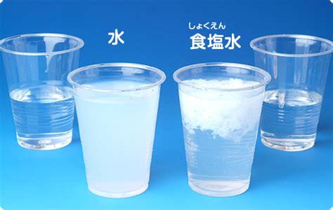 食塩水のびっくり実験（実験しよう！） やってみよう！水の自由研究 サントリー「水育」