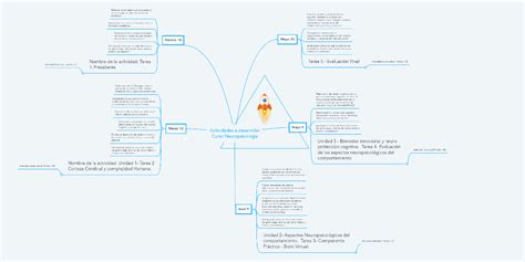 Actividades A Desarrollar Curso Neuropsicología Mindmeister Mapa Mental