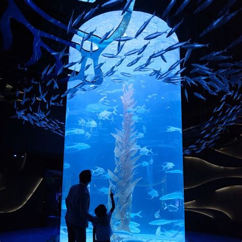 Protecting The Ocean With Jakarta Aquarium Now Jakarta