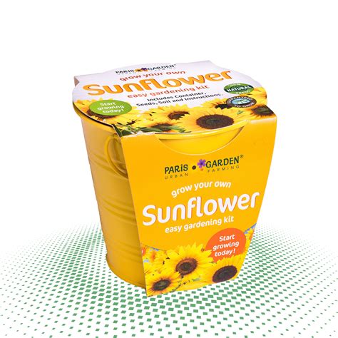 Sunflower Seed Boxes Ez Packaging