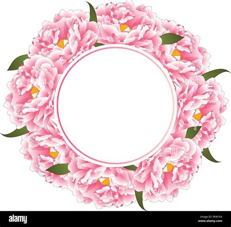 Pink Peony Flower Banner Wreath Isolated On White Background Vector