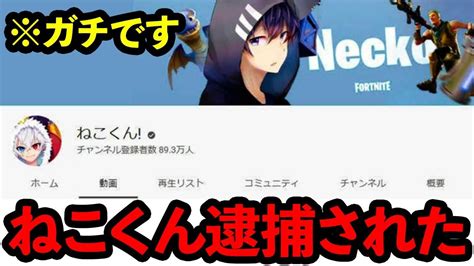 【ねこくん】youtuberの本名をこんな事で知りたくなかった！逮捕で判明！ 逮捕 フォートナイト シバター